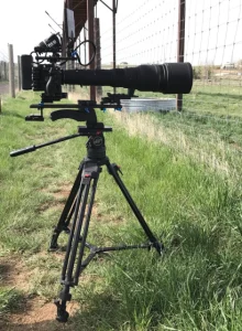 Cinema camera rig with very long lens on tripod at the Wild Animal Sanctuary